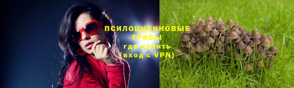 индика Балабаново