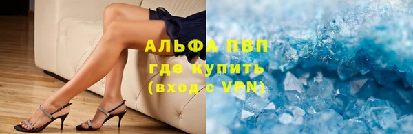 индика Балабаново