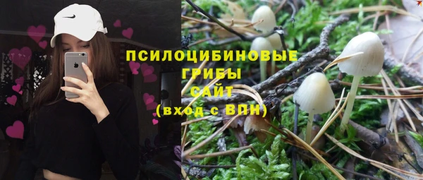 индика Балабаново