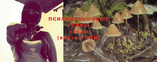 а пвп мука Балахна