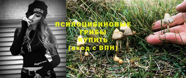 индика Балабаново