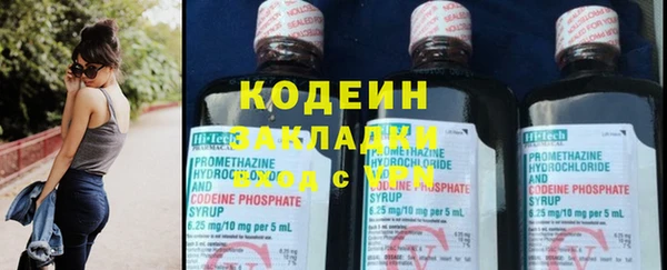 индика Балабаново
