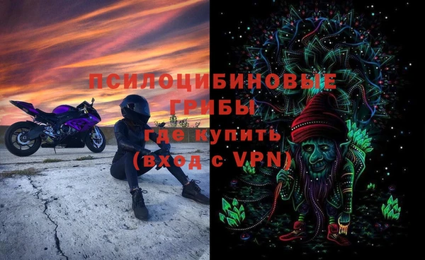 индика Балабаново