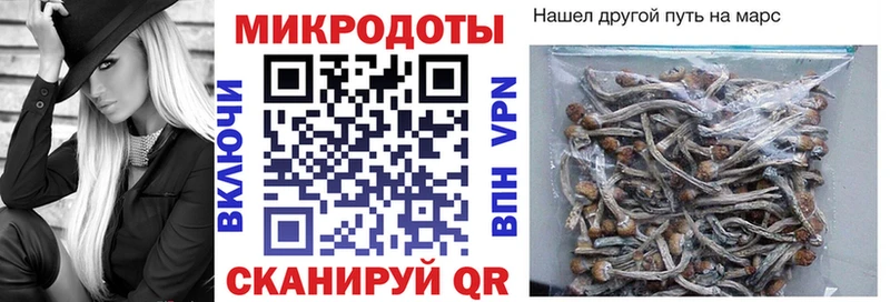 как найти   Верея  дарк нет формула  Псилоцибиновые грибы мухоморы 
